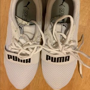Memory foam Pumas